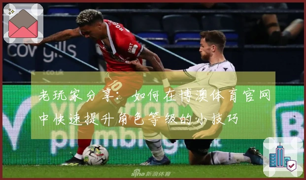 老玩家分享：如何在博澳体育官网中快速提升角色等级的小技巧