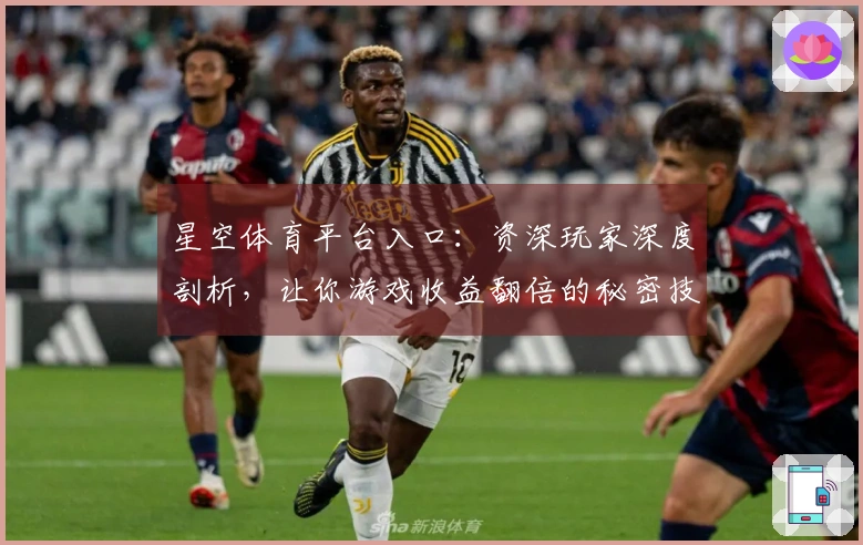 星空体育平台入口：资深玩家深度剖析，让你游戏收益翻倍的秘密技巧